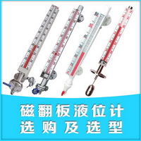 磁浮子液位計選型