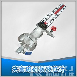 蒸汽夾套磁翻板液位計