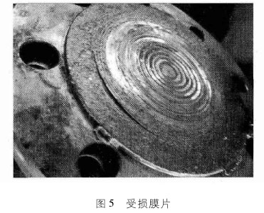 雙法蘭液位計膜片