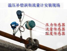 氣體蒸汽渦街流量計(jì)為什么要帶溫壓補(bǔ)償