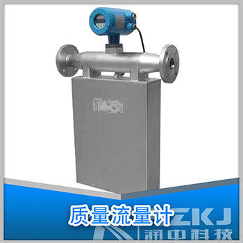 法蘭安裝質量流量計